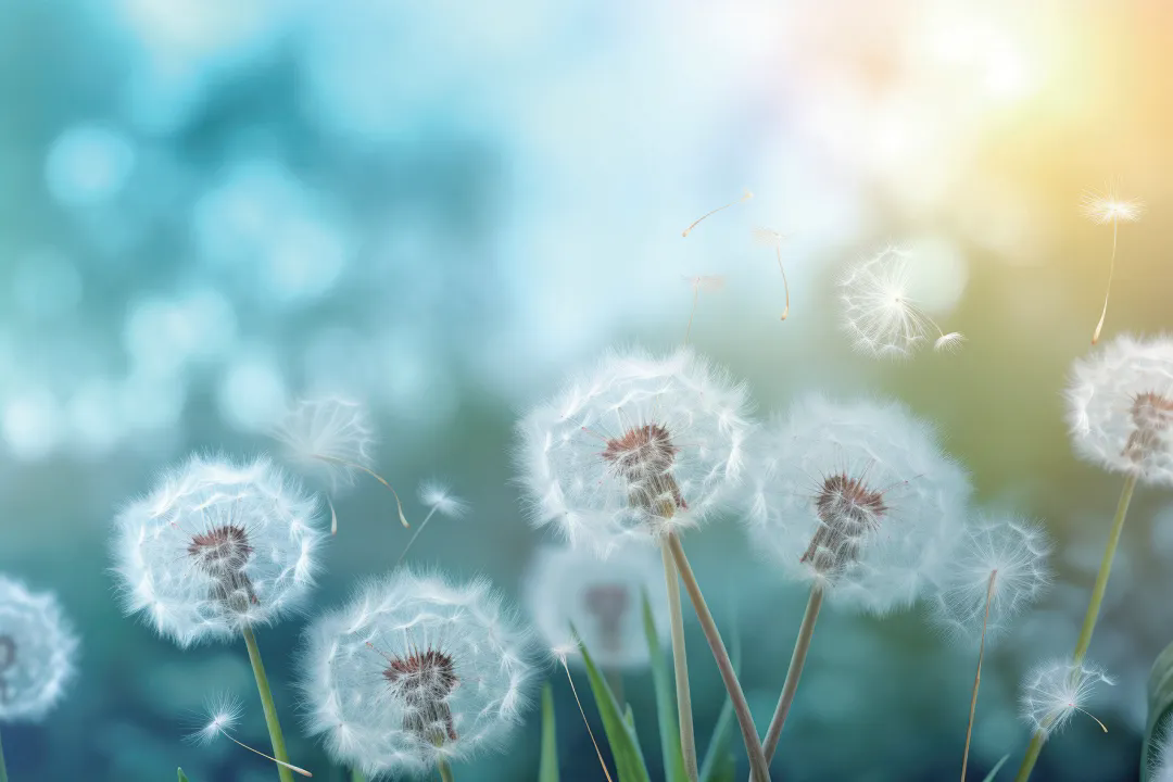 640.webp (3).png